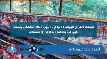 أسعار الفراخ البيضاء اليوم 9 أبريل 2025 تنخفض بشكل كبير في بورصة الدواجن والأسواق